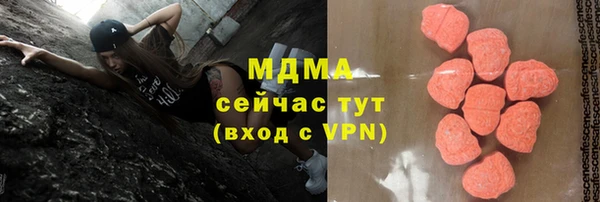 молекула духа Вяземский