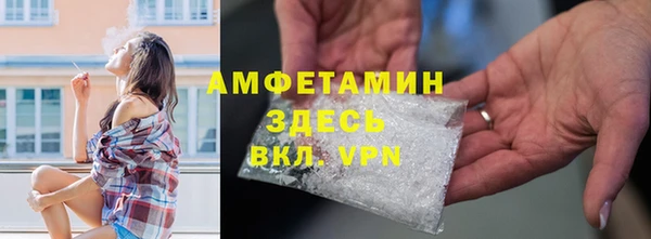 молекула духа Вяземский