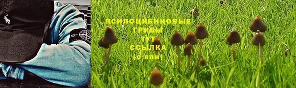 молекула духа Вяземский